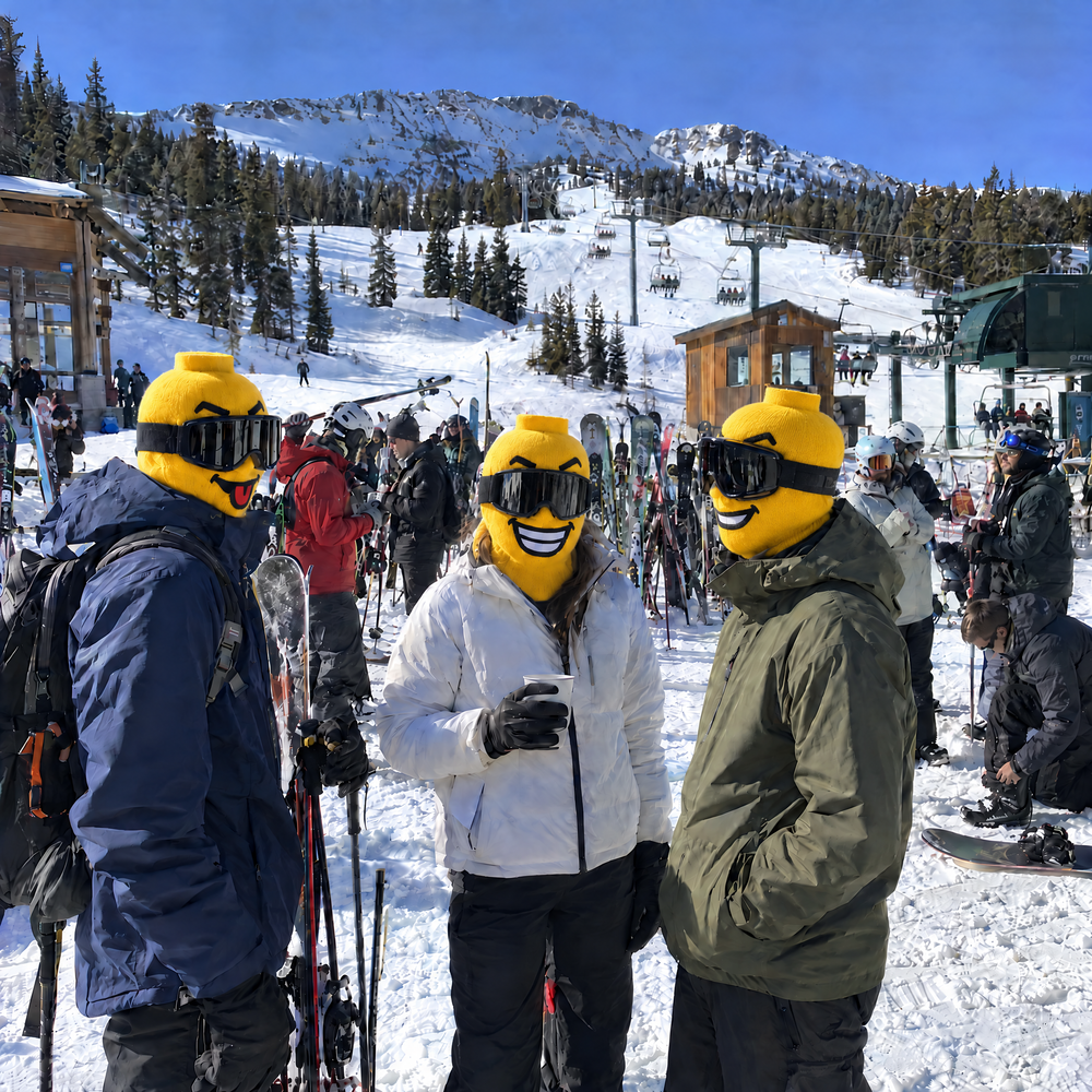 Funny Ski Masks