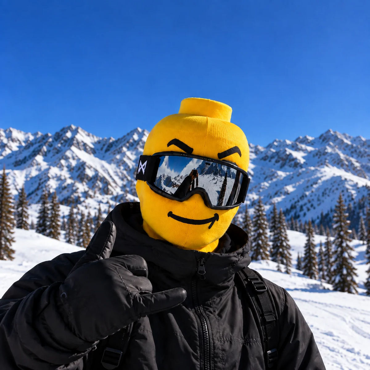 Funny Ski Masks